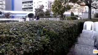 欧洲亚洲自拍网🔞⭕❌⭕❌2019厦门五月天气